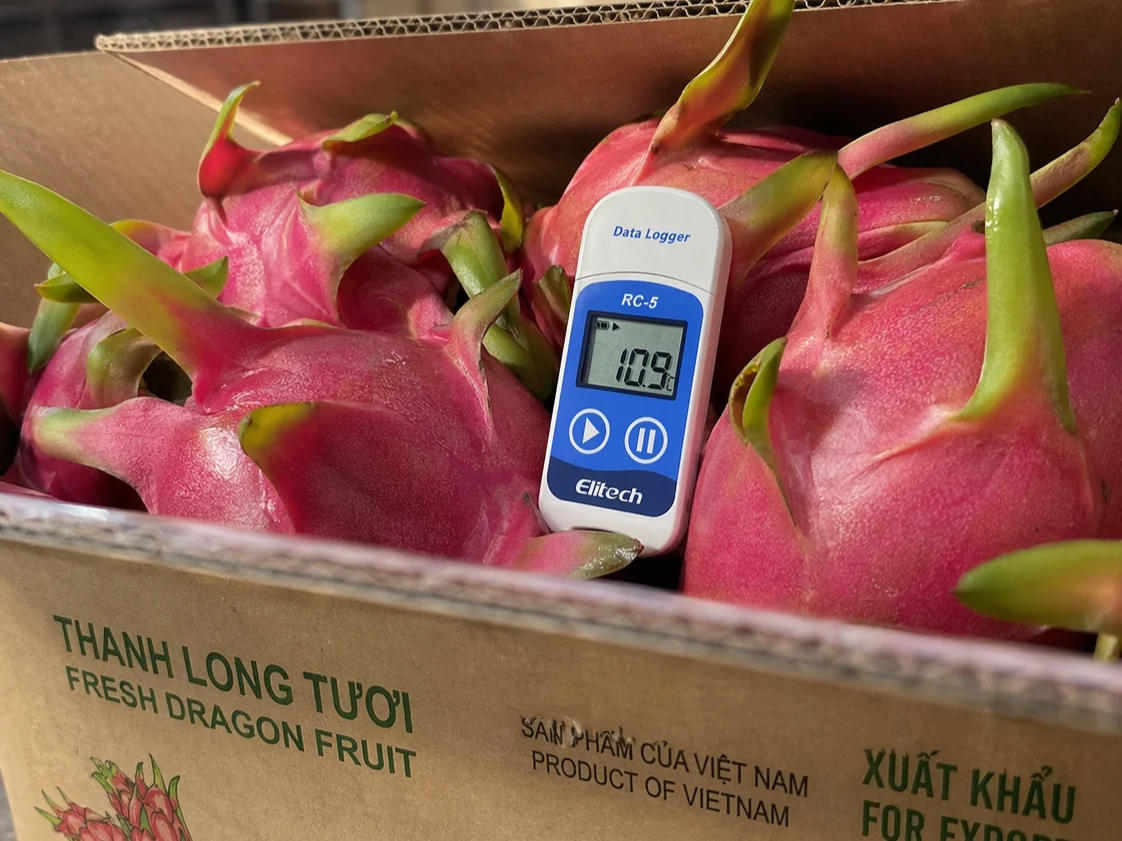 Thiết bị ghi nhiệt độ được đặt bên trong thùng nông sản xuất khẩu